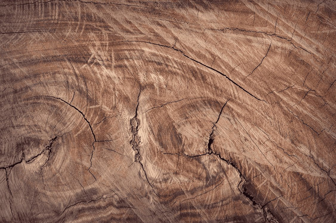 Wood - WarmVibeDecor
