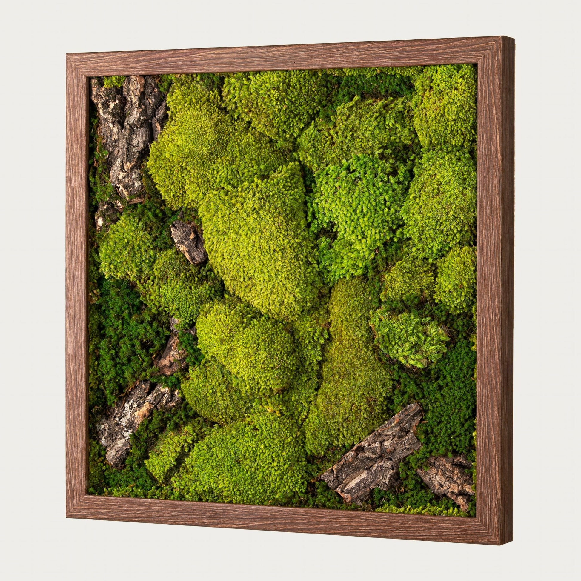 Verdant Moss Frame - WarmVibeDecor