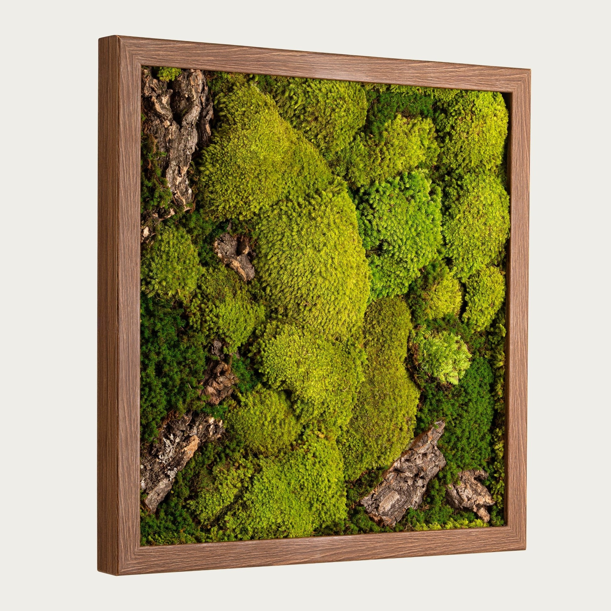 Verdant Moss Frame - WarmVibeDecor