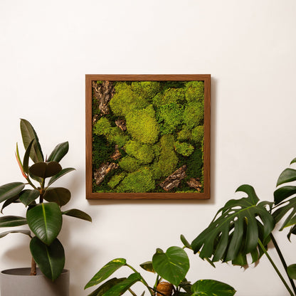 Verdant Moss Frame - WarmVibeDecor